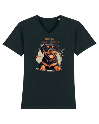 EXERCITII? AM INTELES CARTOFI PRAJITI - Rottweiller Black