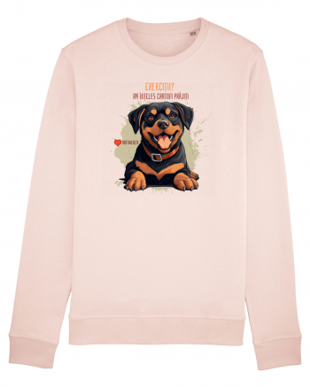 EXERCITII? AM INTELES CARTOFI PRAJITI - Rottweiller Candy Pink