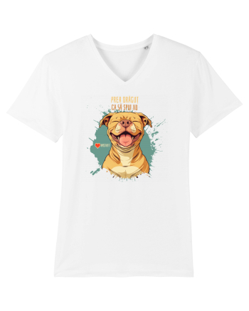 PREA DRAGUT CA SA SPUI NU - Amstaff White