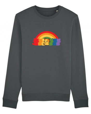Rainbow Cat Anthracite
