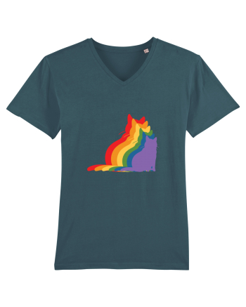 Rainbow Cat Stargazer