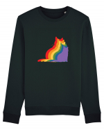 Rainbow Cat Bluză mânecă lungă Unisex Rise