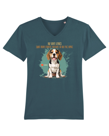 NU SUNT LENES - Beagle Stargazer
