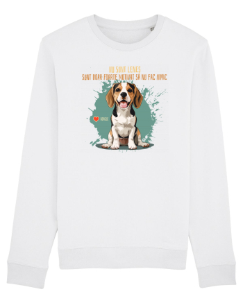 NU SUNT LENES - Beagle White
