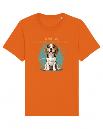 NU SUNT LENES - Beagle Bright Orange
