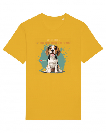 NU SUNT LENES - Beagle Spectra Yellow