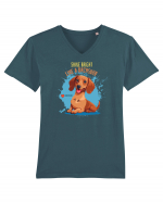 SHINE BRIGHT LIKE A DACHSUND - Dachsund / Teckel Tricou mânecă scurtă guler V Bărbat Presenter