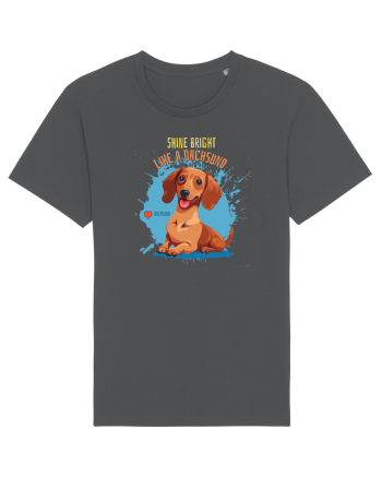 SHINE BRIGHT LIKE A DACHSUND - Dachsund / Teckel Anthracite