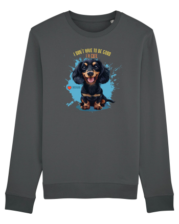 I DON`T HAVE TO BE GOOD, I`M CUTE - Dachsund / Teckel Anthracite