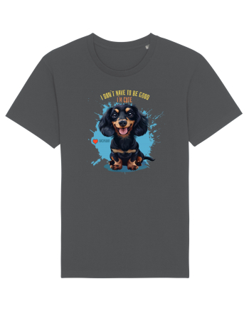 I DON`T HAVE TO BE GOOD, I`M CUTE - Dachsund / Teckel Anthracite