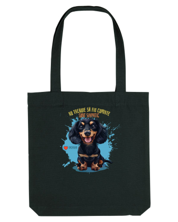 NU TREBUIE SA FIU CUMINTE, SUNT SIMPATIC - Dachsund / Teckel Black