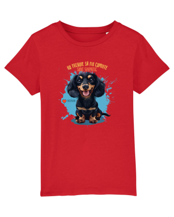 NU TREBUIE SA FIU CUMINTE, SUNT SIMPATIC - Dachsund / Teckel Red