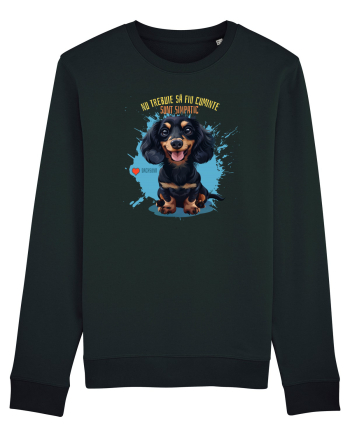 NU TREBUIE SA FIU CUMINTE, SUNT SIMPATIC - Dachsund / Teckel Black