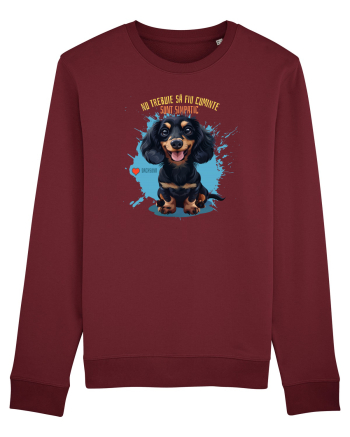 NU TREBUIE SA FIU CUMINTE, SUNT SIMPATIC - Dachsund / Teckel Burgundy