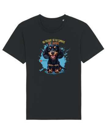 NU TREBUIE SA FIU CUMINTE, SUNT SIMPATIC - Dachsund / Teckel Black