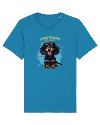 NU TREBUIE SA FIU CUMINTE, SUNT SIMPATIC - Dachsund / Teckel Azur