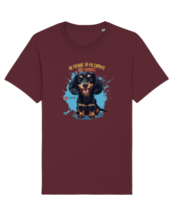NU TREBUIE SA FIU CUMINTE, SUNT SIMPATIC - Dachsund / Teckel Burgundy
