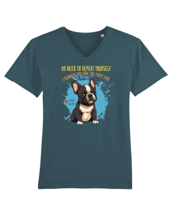 NU TREBUIE SA REPETI, TE_AM IGNORAT DE PRIMA DATA - French Bulldog Stargazer