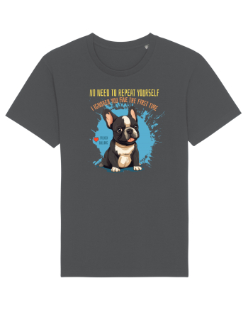 NU TREBUIE SA REPETI, TE_AM IGNORAT DE PRIMA DATA - French Bulldog Anthracite