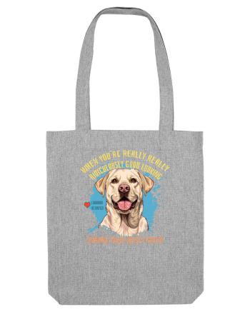 WHEN YOU`RE GOOD LOOKING - Labrador Retriever Heather Grey