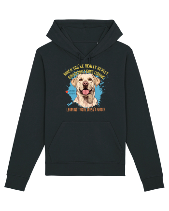 WHEN YOU`RE GOOD LOOKING - Labrador Retriever Black