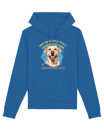 WHEN YOU`RE GOOD LOOKING - Labrador Retriever Royal Blue