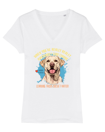 WHEN YOU`RE GOOD LOOKING - Labrador Retriever White