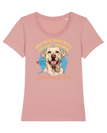 WHEN YOU`RE GOOD LOOKING - Labrador Retriever Canyon Pink
