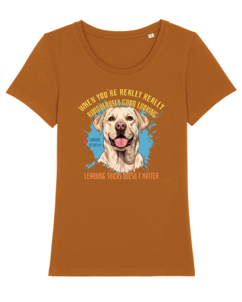 WHEN YOU`RE GOOD LOOKING - Labrador Retriever Roasted Orange