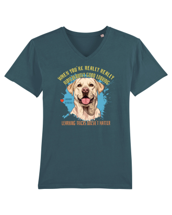 WHEN YOU`RE GOOD LOOKING - Labrador Retriever Stargazer