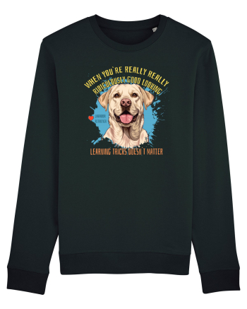 WHEN YOU`RE GOOD LOOKING - Labrador Retriever Black