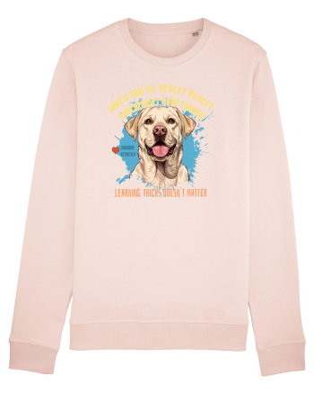 WHEN YOU`RE GOOD LOOKING - Labrador Retriever Candy Pink