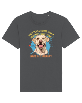 WHEN YOU`RE GOOD LOOKING - Labrador Retriever Anthracite