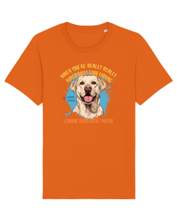 WHEN YOU`RE GOOD LOOKING - Labrador Retriever Bright Orange