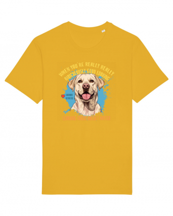 WHEN YOU`RE GOOD LOOKING - Labrador Retriever Spectra Yellow