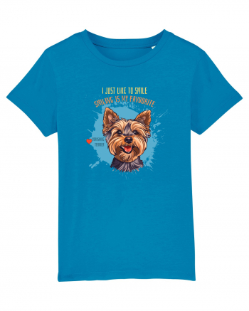 I JUST LIKE TO SMILE - Yorkshire Terrier Azur