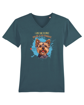I JUST LIKE TO SMILE - Yorkshire Terrier Stargazer