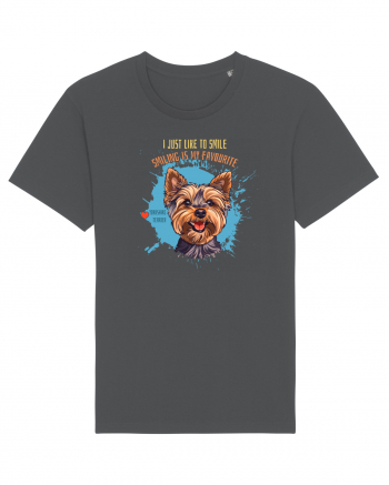 I JUST LIKE TO SMILE - Yorkshire Terrier Anthracite