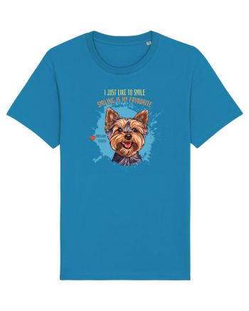 I JUST LIKE TO SMILE - Yorkshire Terrier Azur