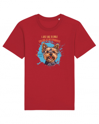 I JUST LIKE TO SMILE - Yorkshire Terrier Red
