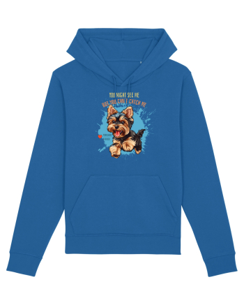 YOU MIGHT SEE ME, CAN`T CATCH ME - Yorkshire Terrier Royal Blue