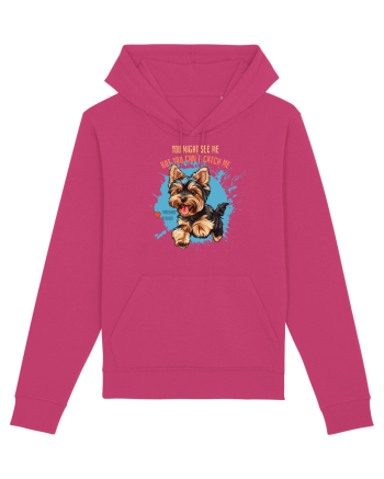 YOU MIGHT SEE ME, CAN`T CATCH ME - Yorkshire Terrier Raspberry