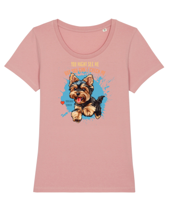 YOU MIGHT SEE ME, CAN`T CATCH ME - Yorkshire Terrier Canyon Pink