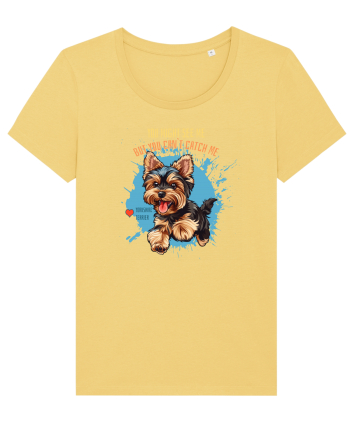 YOU MIGHT SEE ME, CAN`T CATCH ME - Yorkshire Terrier Jojoba