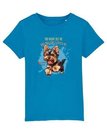 YOU MIGHT SEE ME, CAN`T CATCH ME - Yorkshire Terrier Azur