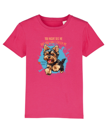 YOU MIGHT SEE ME, CAN`T CATCH ME - Yorkshire Terrier Raspberry