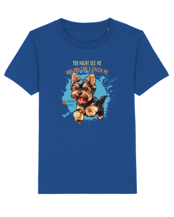 YOU MIGHT SEE ME, CAN`T CATCH ME - Yorkshire Terrier Majorelle Blue