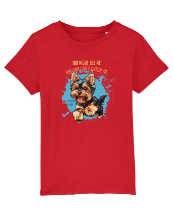 YOU MIGHT SEE ME, CAN`T CATCH ME - Yorkshire Terrier Red
