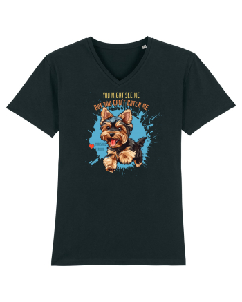 YOU MIGHT SEE ME, CAN`T CATCH ME - Yorkshire Terrier Black