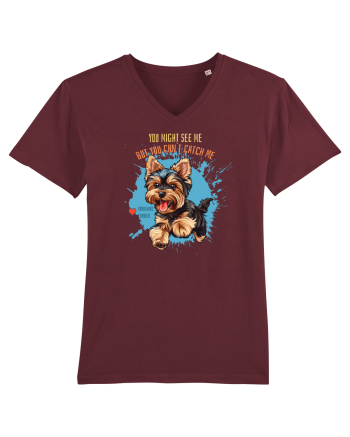 YOU MIGHT SEE ME, CAN`T CATCH ME - Yorkshire Terrier Burgundy